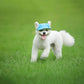 Pet Accessories Adjustment Buckle Baseball Cap, S, M