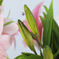 TBD0388395201C_5.jpg@b764335a8155697387f39c04d6e24fa9