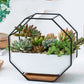 Simple Octagonal Geometric Wall Hanging Table Succulent Platter Bamboo Support Iron Frame Flower Pot