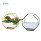 Simple Octagonal Geometric Wall Hanging Table Succulent Platter Bamboo Support Iron Frame Flower Pot