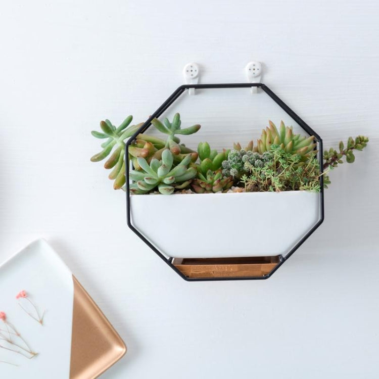 Simple Octagonal Geometric Wall Hanging Table Succulent Platter Bamboo Support Iron Frame Flower Pot