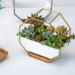 Simple Octagonal Geometric Wall Hanging Table Succulent Platter Bamboo Support Iron Frame Flower Pot