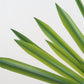TBD0404598801B_6.jpg@b582e278396c868f12337e6c556ed51e