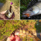 15 PCS 8-color Larvae Silicone Soft Bait Lure Bait, 55MM, 75MM, 100MM