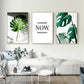 Three botanical and text wall posters: monstera leaf and "yesterday NOW tomorrow"