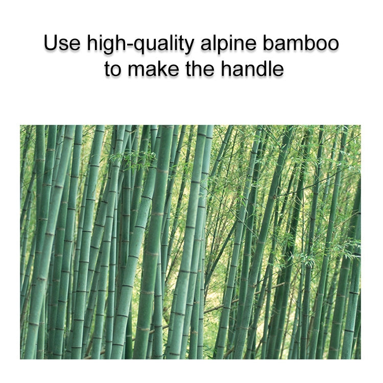 Alpine bamboo stalks photo highlighting bamboo handle material