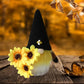 TBD0426388301_1.jpg@58952bd28213bae59f46e5f417bb4dc2