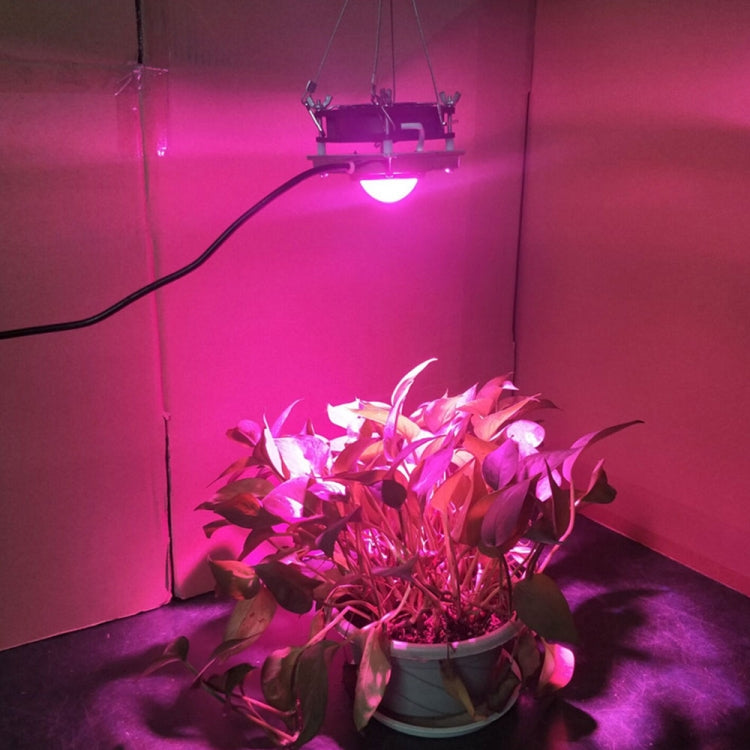 COB Plant Growth Light LED Vegetable Planting Succulent Light, Full Spectrum, Sunligh