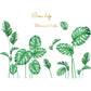 Green botanical leaf wall decal set with monstera and palm-style leaf prints