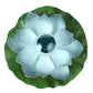 TBD0460985301C_1.jpg@8cc58a252b0e26355b8dc1b98ef85b15