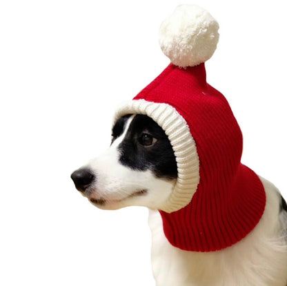 Red wool pet Christmas hat with cream trim and pom-pom, worn by a small dog
