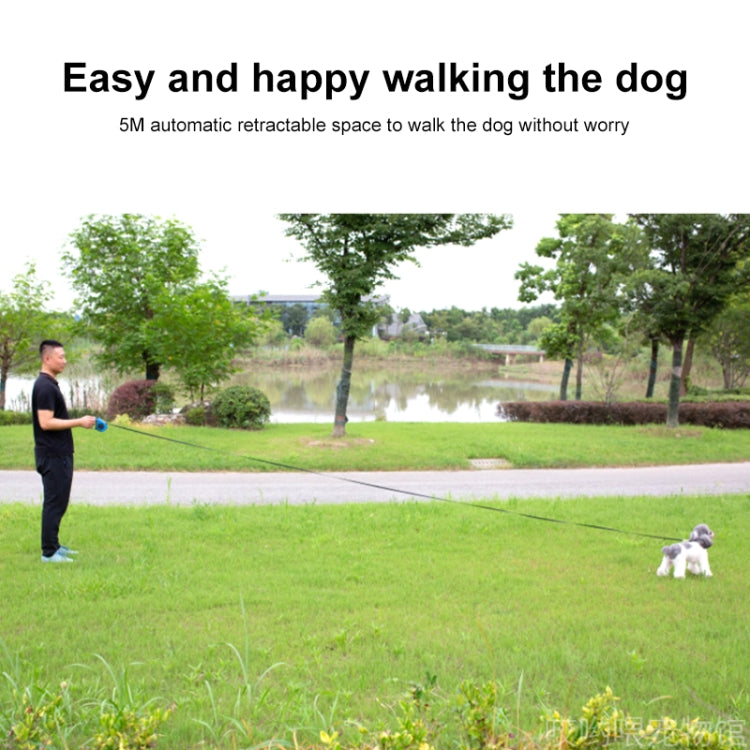 Retractable dog leash with extended line while walking a small dog in a park