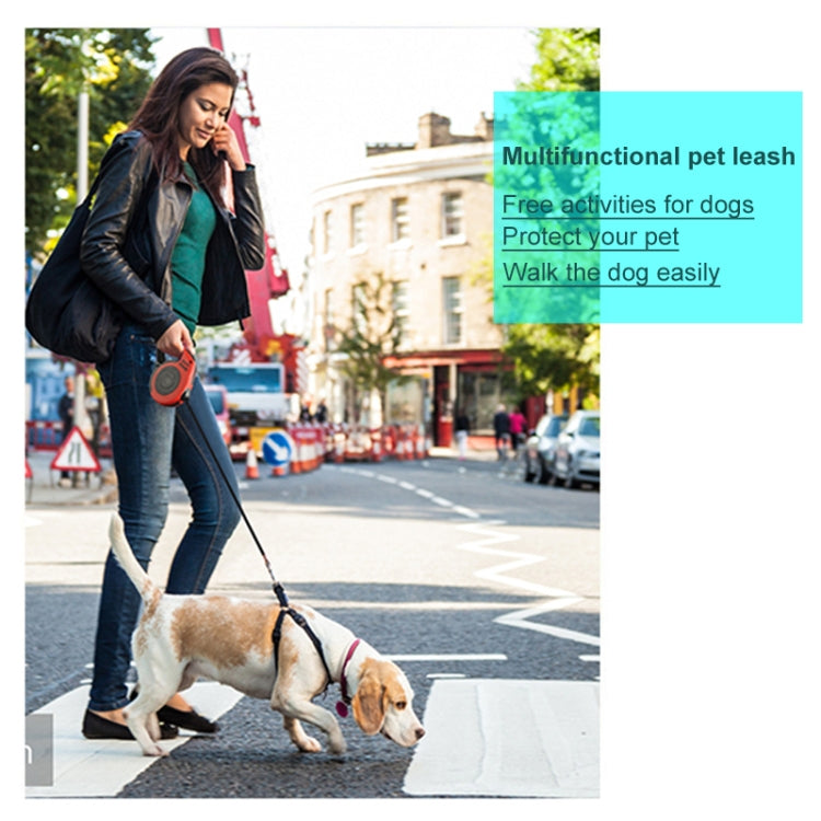 Retractable dog leash in red, dog-walking on a street with a small pet
