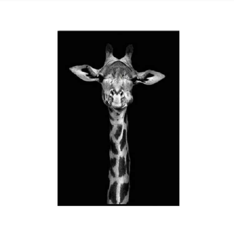 Frameless black-and-white giraffe portrait painting, centered head and spread horns