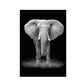 Frameless black-and-white elephant portrait painting with front view and raised trunk