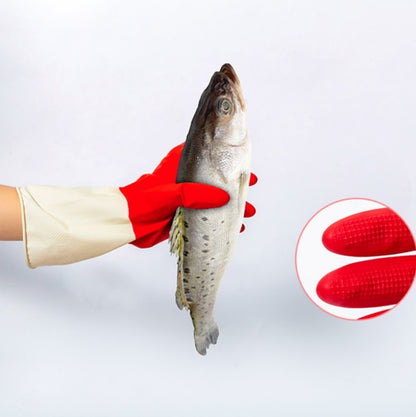 TBD050312404_7.jpg@26ce862ea5c141583bb7858e40672d86