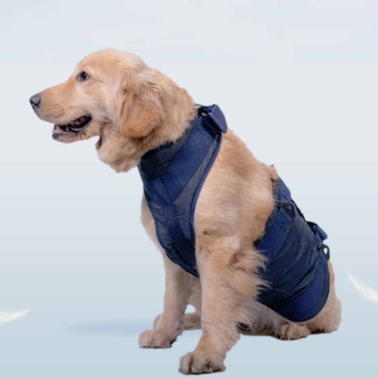 Dark blue dog chest harness with front handle, worn by a standing dog in profile