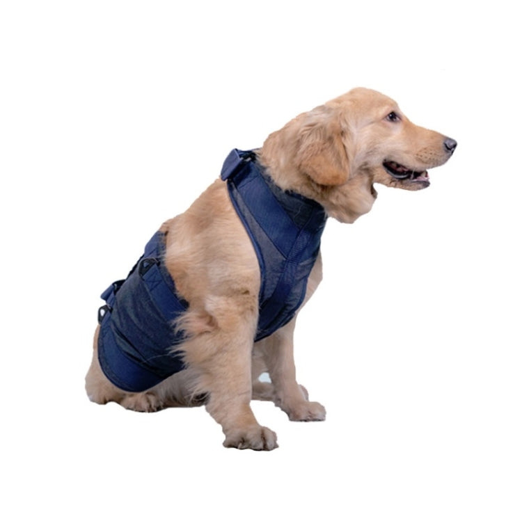 Dark blue dog chest harness with front support panels, worn by a standing senior dog