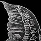White embroidered leaf wing applique on organza, close-up detail