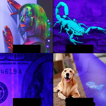 TBD0531388901_7.jpg@2a0a747b47ea4c280cd4668a1a35a909