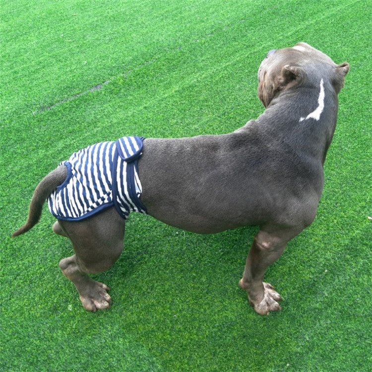 Striped dog physiological pants in navy and white, worn on a gray dog