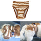 Striped dog physiological pants in brown and white, front view with leg openings