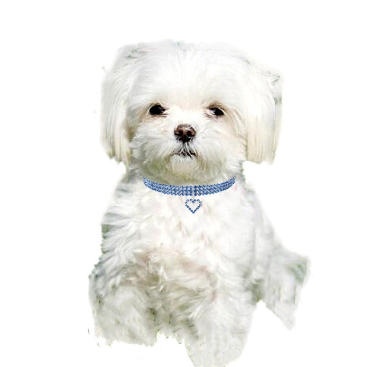 Blue rhinestone elastic pet collar with heart charm, worn by a small white dog