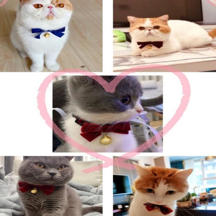 Velvet bow pet collar with bell shown on cats.