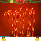 TBD0545461401_B1.jpg@97a20c4d19c1179a725f769eff3ca178
