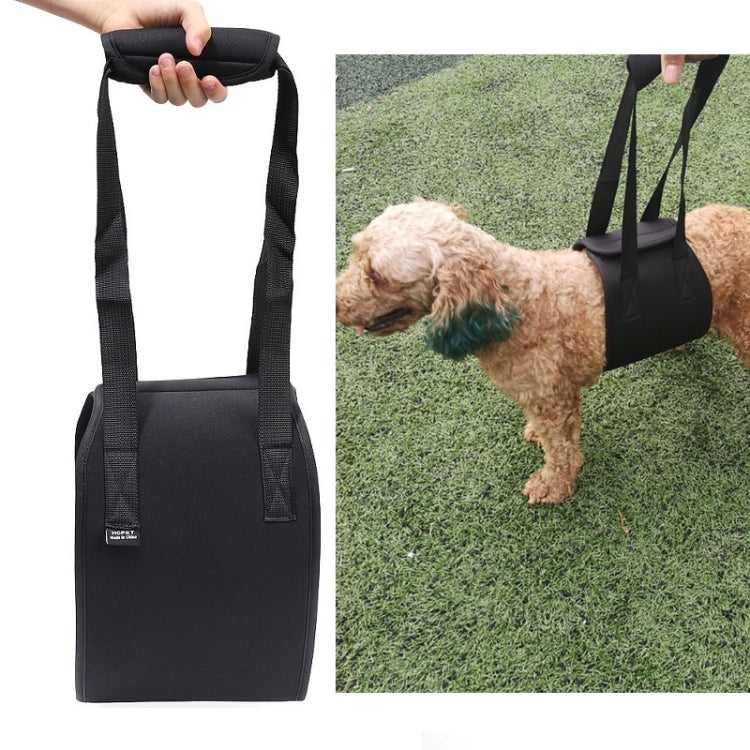 Black assistive dog walking belt supporting a small dog during walks
