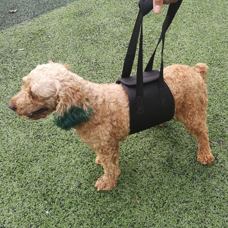 Small dog wearing black lifting assist harness with two carry straps for walking support