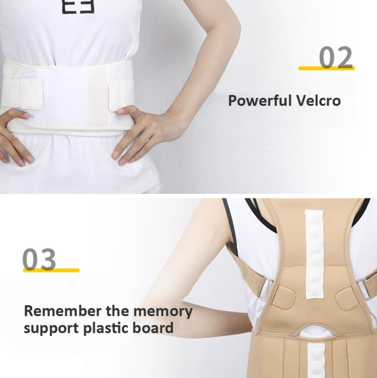 Close-up of beige posture correction belt with Velcro waist band and molded back panel