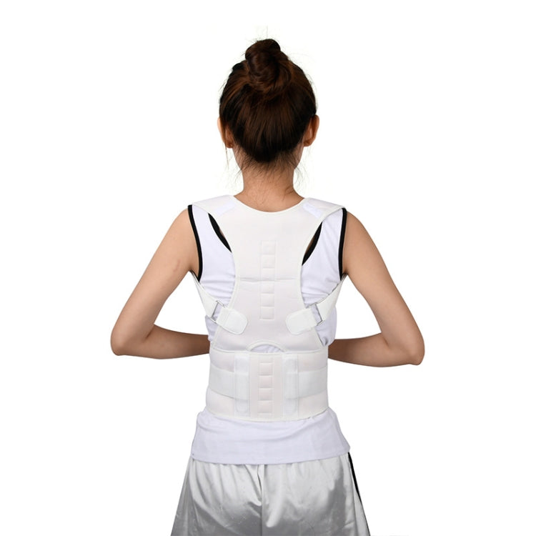 White back posture correction belt showing central brace pads and wide lower band