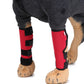 Pet knee pads, red padded braces with black strap bands and grey edge