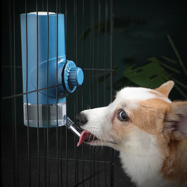 Small dog drinking from hanging cage waterer with blue ball feeder