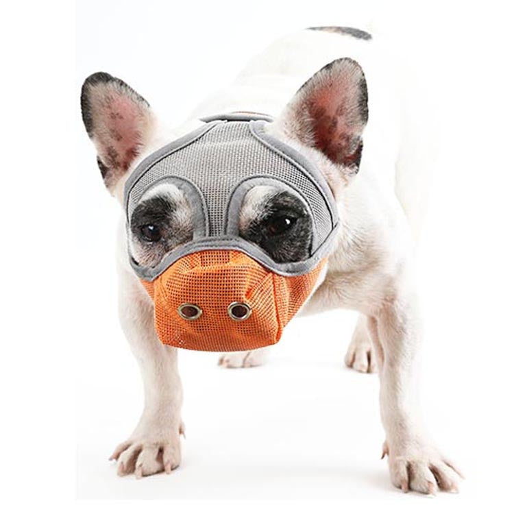 Dog mouth cover muzzle with gray mesh and orange front panel, flat-face fit.