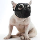 Dog mouth cover muzzle with black mesh hood, snug around the snout.