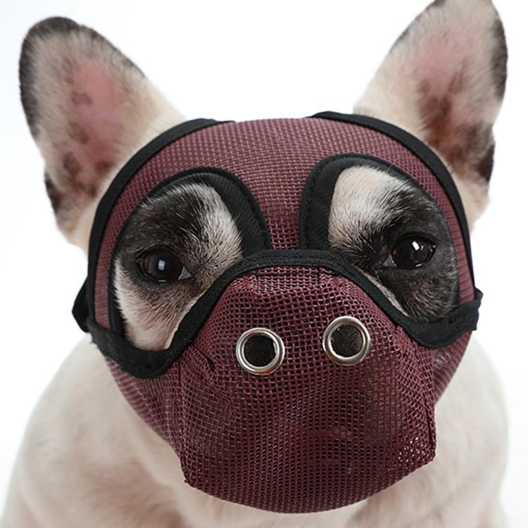 Wine red dog anti-bite mouth cover with mesh front and padded black trim