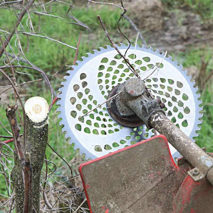 TBD0571535203_B4.jpg@8709b8781dfa5592e07d9736b7b2b8a5