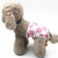 Dog anti-harassment pants with pink and owl print, worn by a plush brown dog.