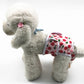 Dog anti-estrus belly wrap pants in red fruit print with white trim and elastic leg holes