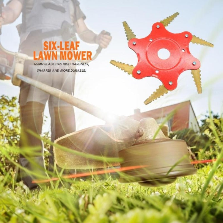 TBD0572108001_B3.jpg@60f6c608320e02bcda0d66017952413e