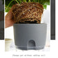 Gray and transparent double-layer water storage flowerpot with absorbent wick