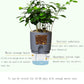 TBD0583442603_B3.jpg@cadd61db1dd953ede9072da25e71b008