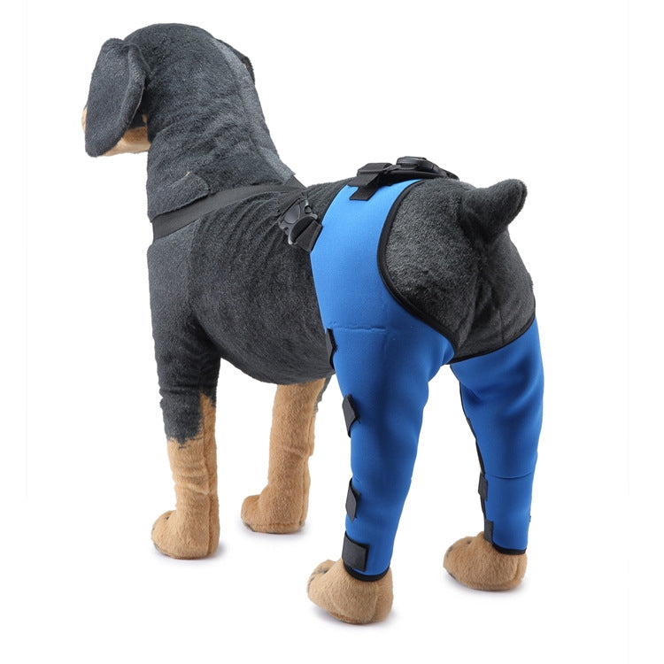 Pet dog leg knee guard protective cover with blue protective pants and padded knee braces