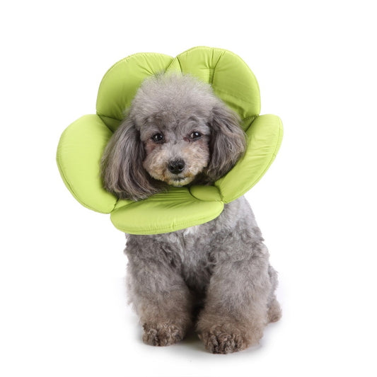 Green padded flower-shaped dog protective collar worn by a small dog