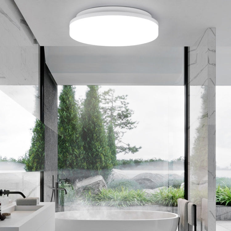 Round LED ceiling lamp with thick rim frosted diffuser, white, flush-mount