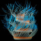 Fluorescent aquarium anemone decoration with blue tentacles and orange core accents