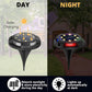 TBD0594640605_2.jpg@5e4ac8a6070bd56f336bdd5603f72b31