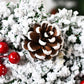 TBD0595288005_B4.jpg@d5206d4e5f98a13f9dc1ed3fb60a1908